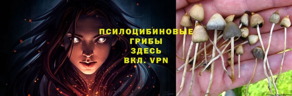 прущие крисы Краснослободск