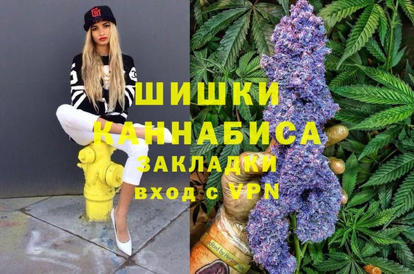 прущие грибы Красноперекопск