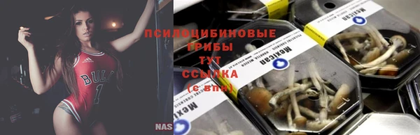 прущие крисы Краснослободск