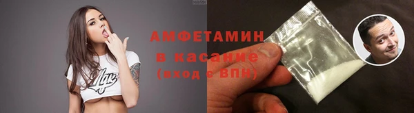 прущие грибы Красноперекопск