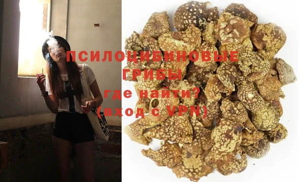 прущие крисы Краснослободск