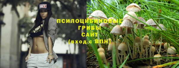 прущие крисы Краснослободск