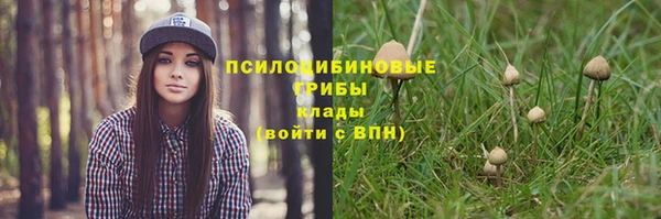 прущие крисы Краснослободск