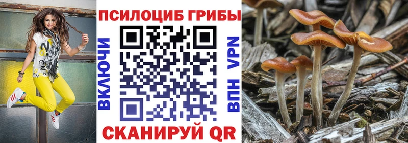 Псилоцибиновые грибы Magic Shrooms  Купить где  Багратионовск 